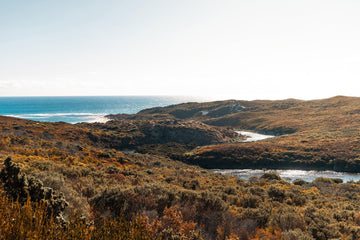 Capturing the Essence of Cape Mentelle - Australia Unseen