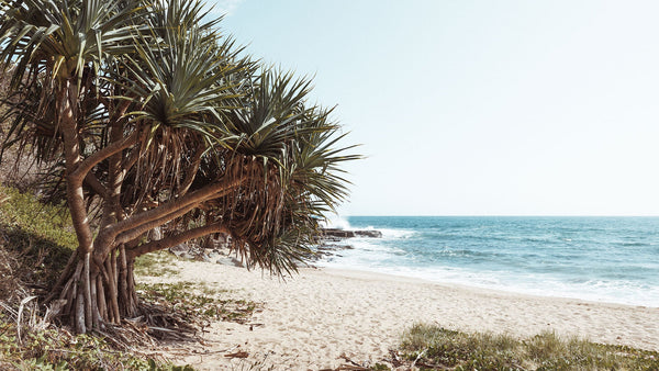 Yamba Wall Art Photography Prints - Australia Unseen