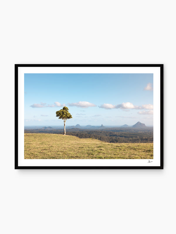 One Tree Hill 01 - Glass House Mountains Wall Art Print