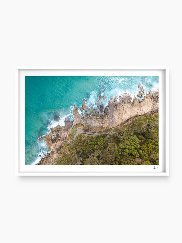 Boardwalk – Noosa National Park Wall Art Print