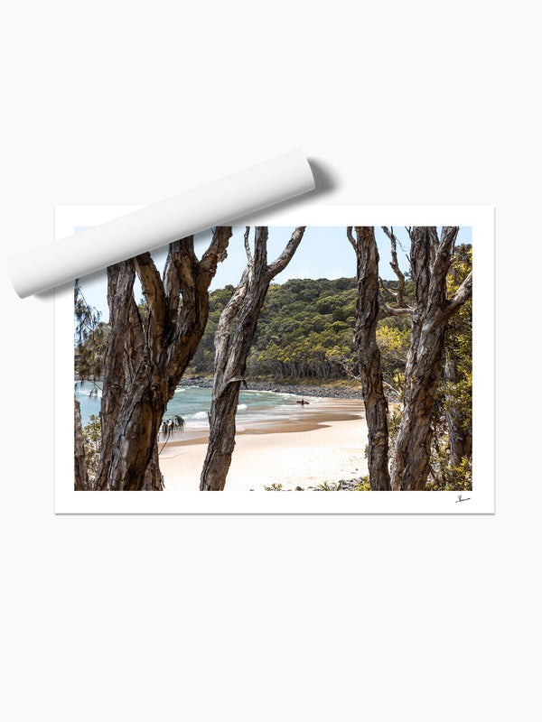 Tea Tree Bay 01 – Noosa Wall Art Print