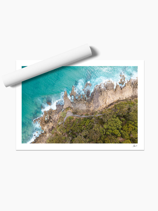 Boardwalk – Noosa National Park Wall Art Print