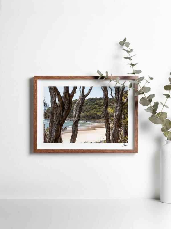 Tea Tree Bay 01 – Noosa Wall Art Print
