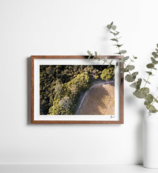 Cape Mentelle Winery 04 - Wall Art Print - Australia Unseen