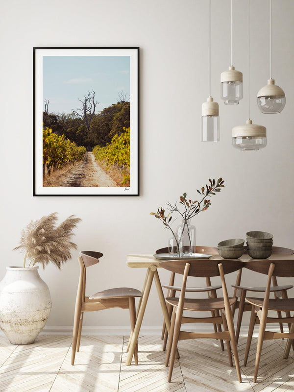 Cape Mentelle Winery 05 - Wall Art Print - Australia Unseen