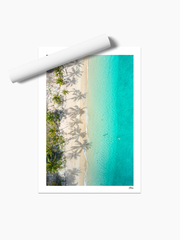 Shadows & Palms - Whitsundays Wall Art Print - Australia Unseen