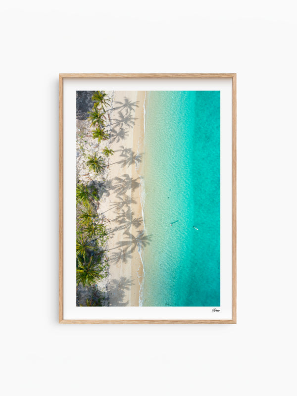 Shadows & Palms - Whitsundays Wall Art Print - Australia Unseen