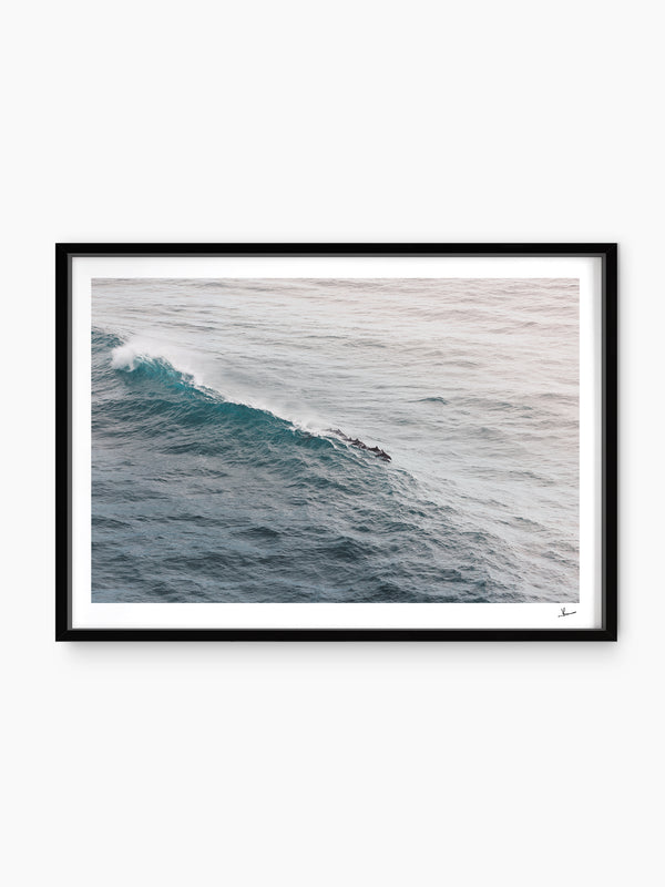 The Dolphins' Pod - Wall Art Print - Australia Unseen