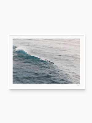 The Dolphins' Pod - Wall Art Print - Australia Unseen