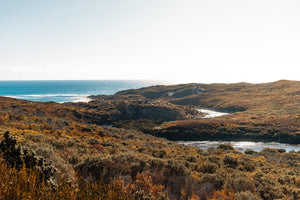 Capturing the Essence of Cape Mentelle - Australia Unseen