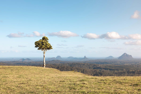 Glass House Mountains Wall Art Prints
