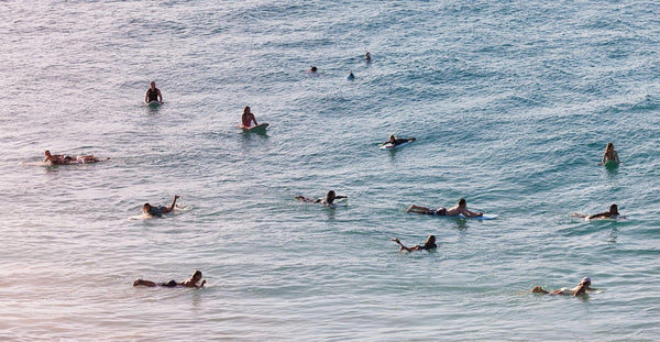 Shop prints by theme