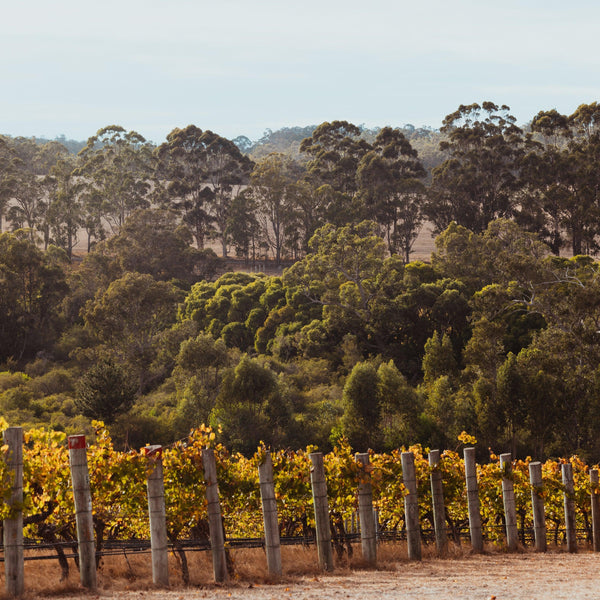 Margaret River Wall Art Photography Prints - Australia Unseen