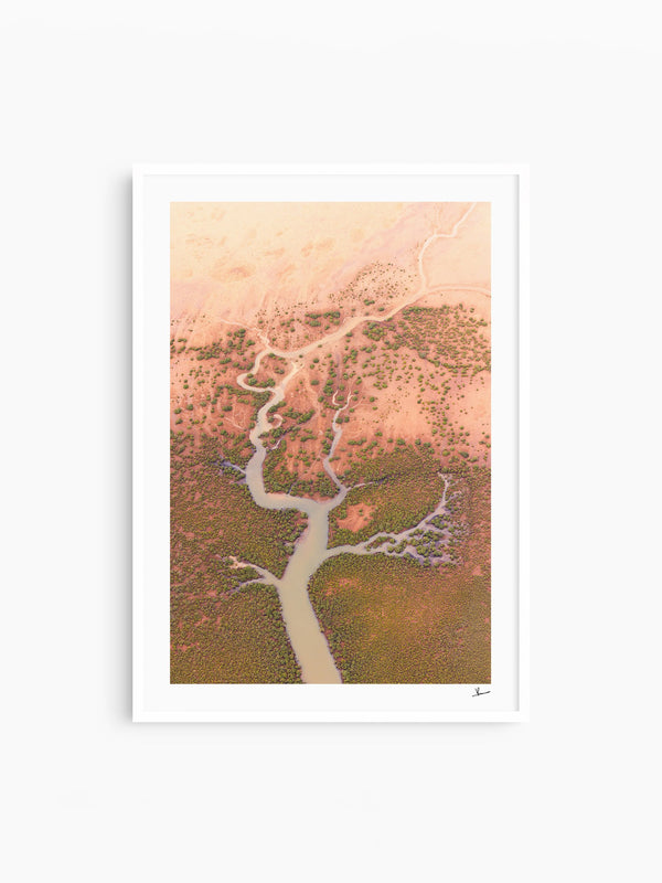 Mangrove Roots — wall art print in Classic White frame · Australia Unseen