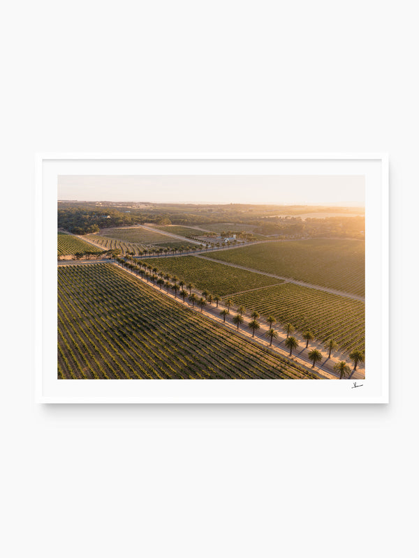 Barossa Valley Sunrise 02 – South Australia Wall Art Print