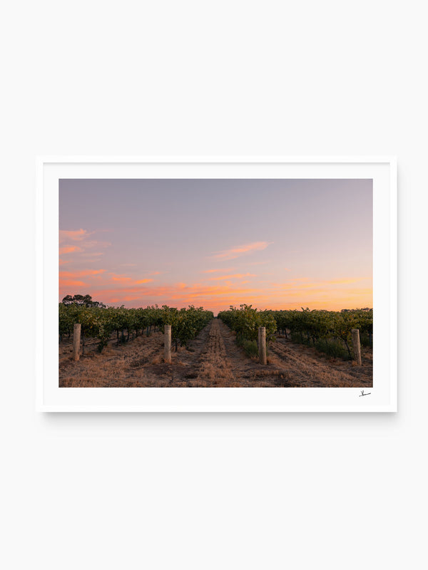 Barossa Valley First Light – South Australia Wall Art Print