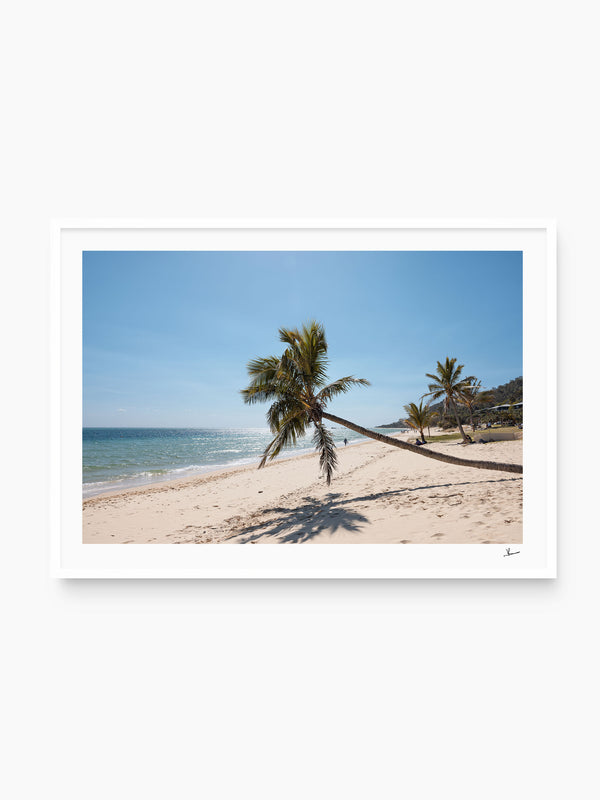 Tanga Leaning Palm - Moreton Island Wall Art Print