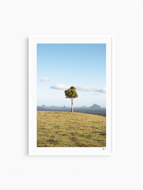 One Tree Hill 02 - Glass House Mountains Wall Art Print
