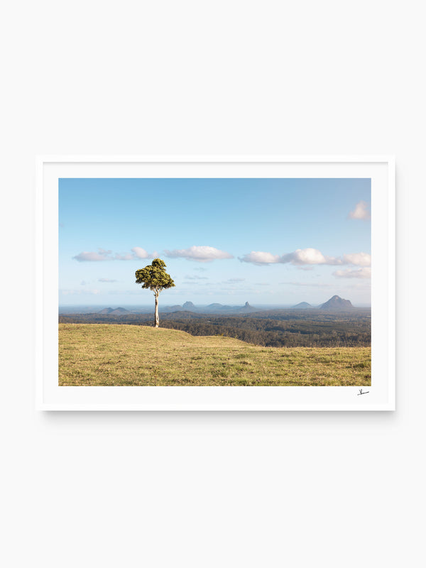 One Tree Hill 01 - Glass House Mountains Wall Art Print