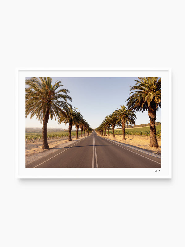 Seppeltsfield Road 01 – Barossa Valley Wall Art Print