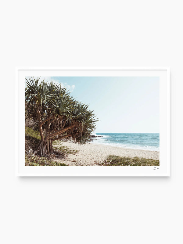 Angourie Point Beach - Wall Art Print