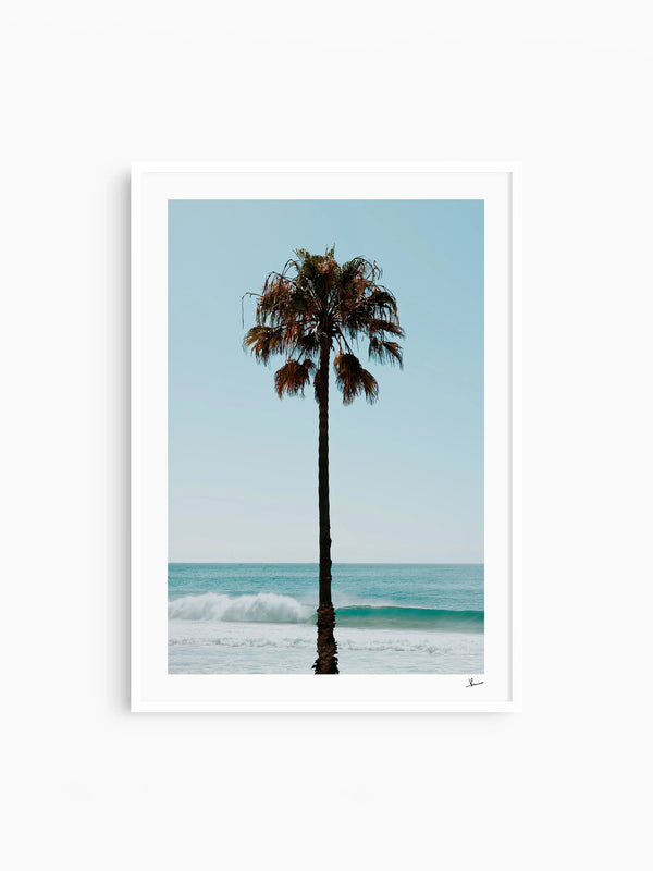 Palm Tree 01 (Whale Beach) - Wall Art Print