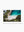 Shelly Beach 04 - Wall Art Print