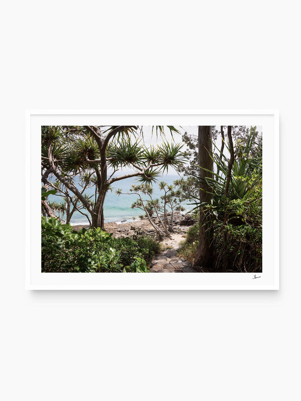 Down Pandanus Lane – Noosa National Park Wall Art Print
