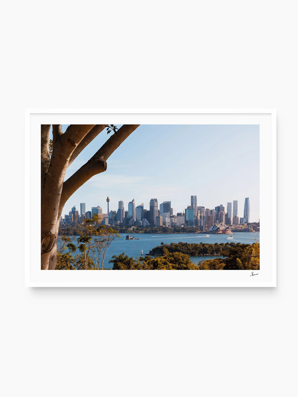 Taronga 01 - Wall Art Print