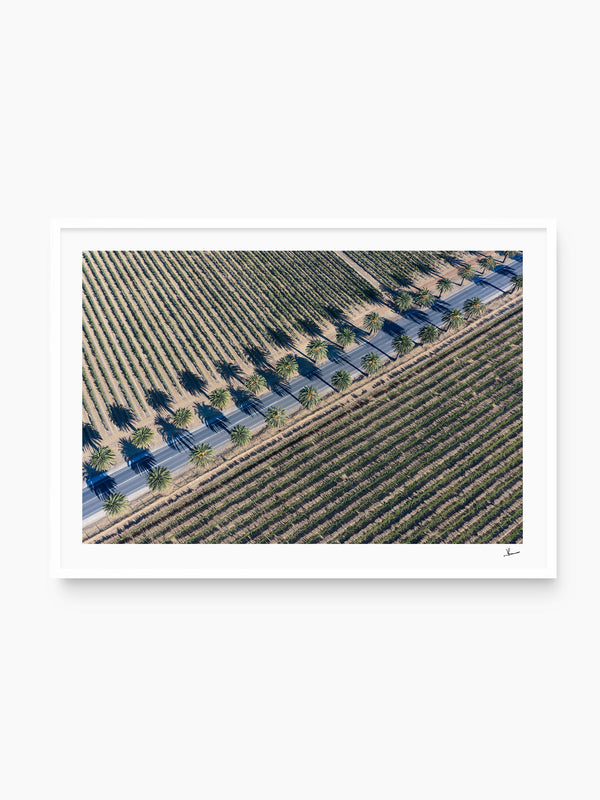 Seppeltsfield Road 03 – Barossa Valley Wall Art Print