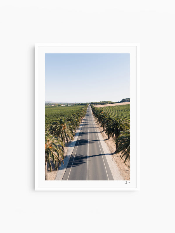 Seppeltsfield Road 02 – Barossa Valley Wall Art Print