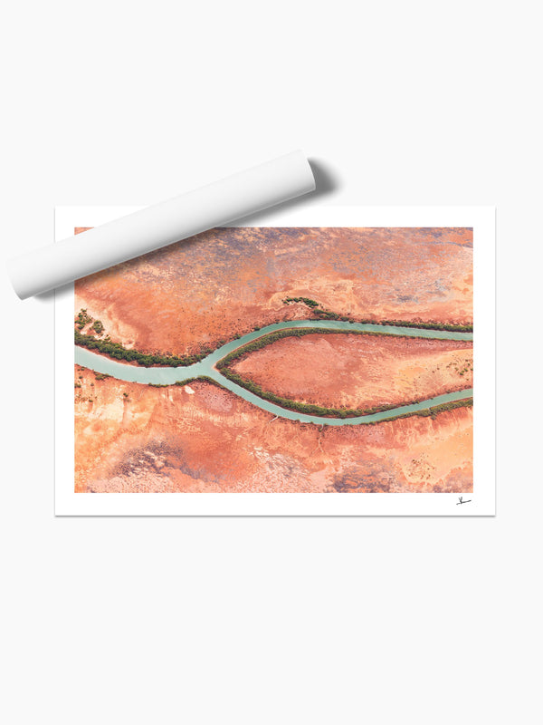 Wishbone — unframed wall art print · Australia Unseen