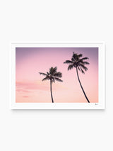 Pink Palms - Gold Coast Wall Art Print