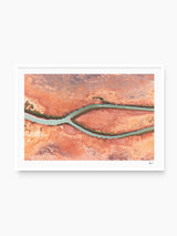 Wishbone - Limited Edition Wall Art Print