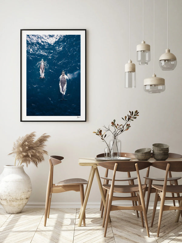 Whales 01 (Maroubra) - Wall Art Print