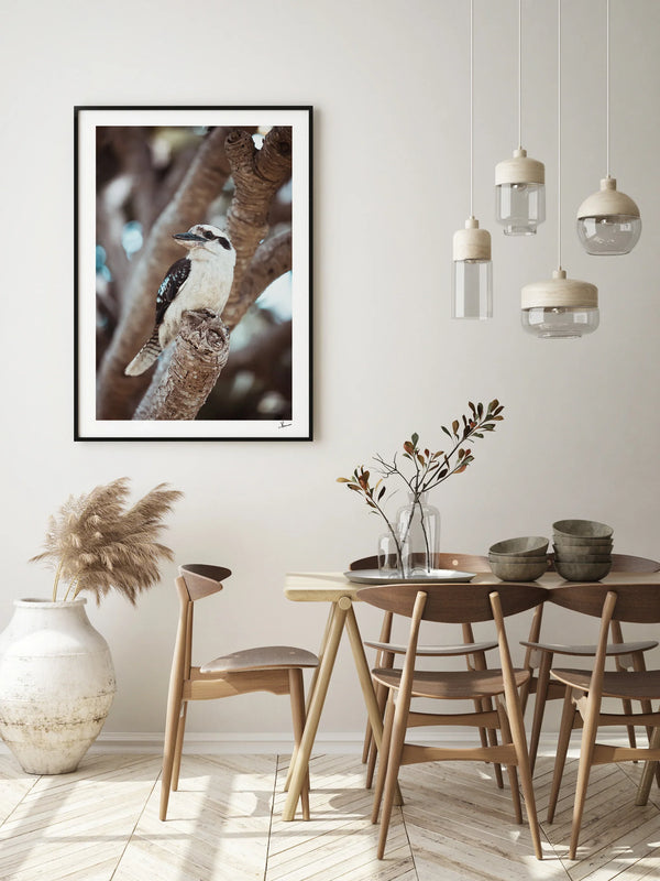 Kookaburra 02 - Wildlife Wall Art Print