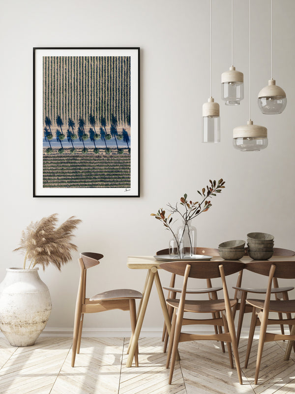 Seppeltsfield Road 04 – Barossa Valley Wall Art Print