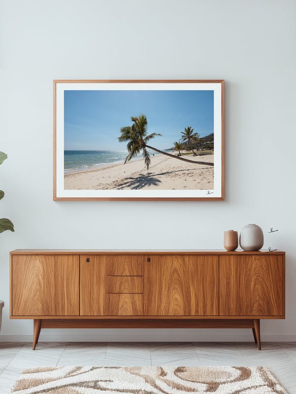 Tanga Leaning Palm - Moreton Island Wall Art Print
