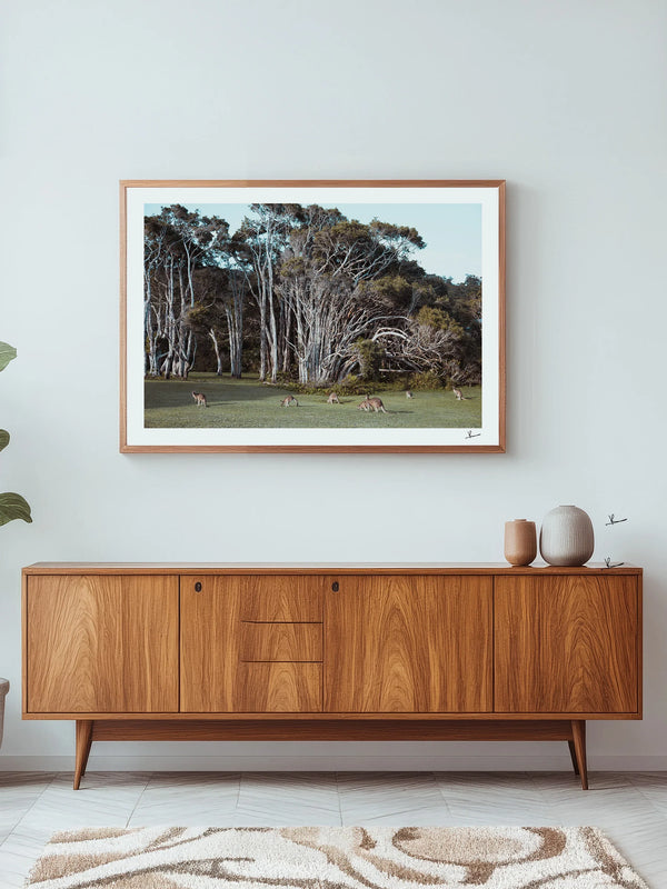 Kangaroos 01 (Little Bay Beach, NSW) - Wall Art Print