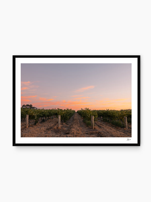 Barossa Valley First Light – South Australia Wall Art Print