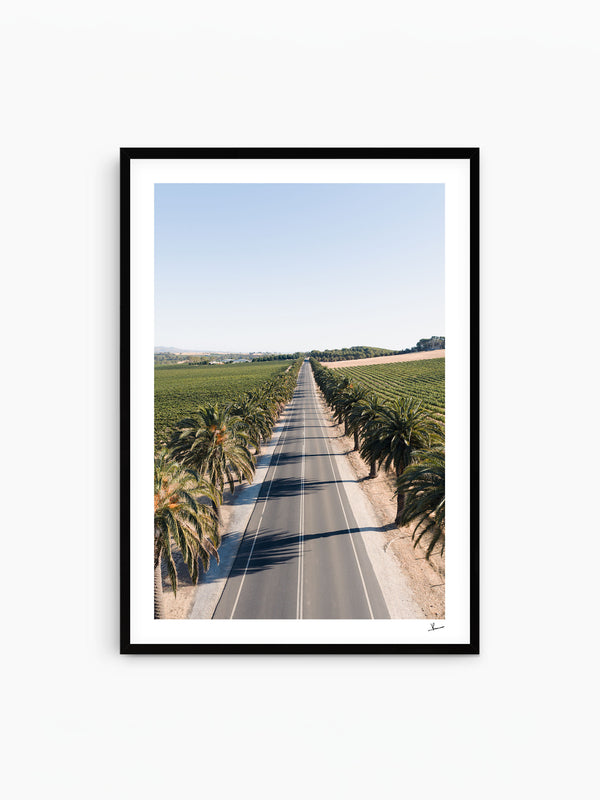 Seppeltsfield Road 02 – Barossa Valley Wall Art Print