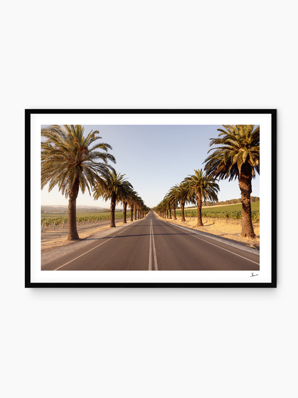 Seppeltsfield Road 01 – Barossa Valley Wall Art Print