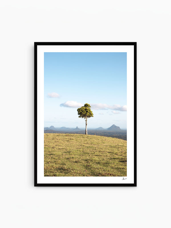 One Tree Hill 02 - Glass House Mountains Wall Art Print