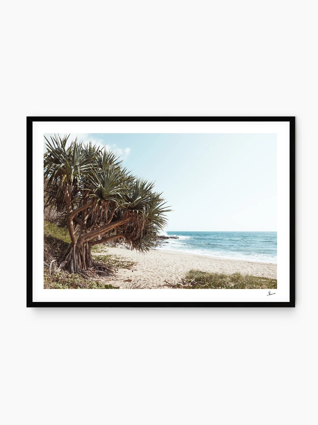 Angourie Point Beach - Wall Art Print