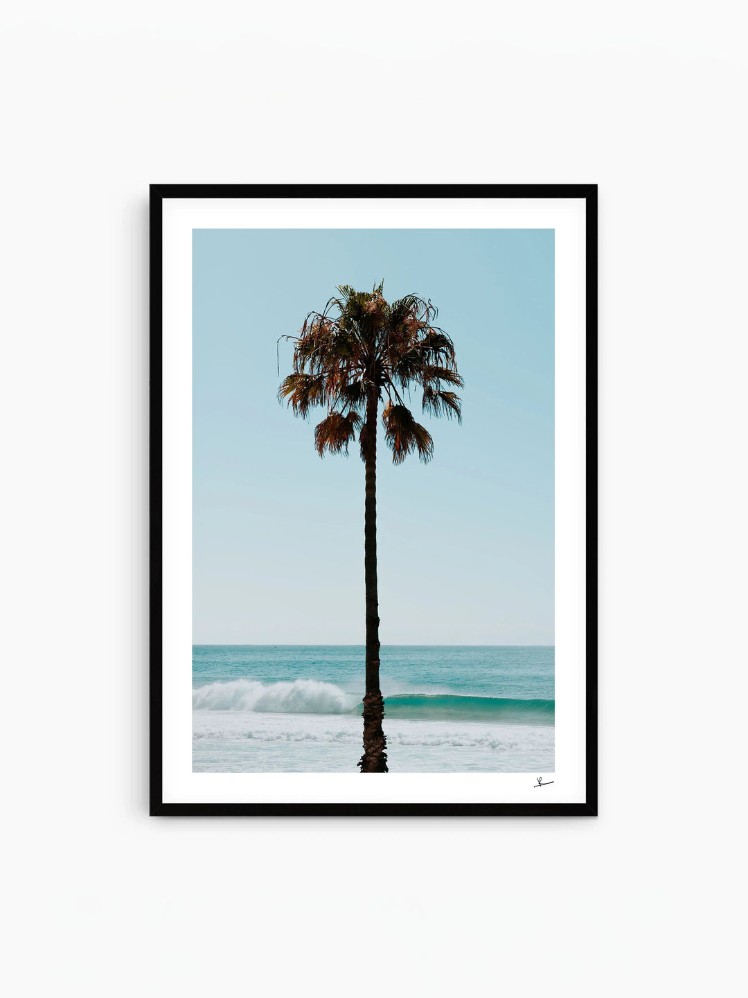 Palm Tree 01 (Whale Beach) - Wall Art Print
