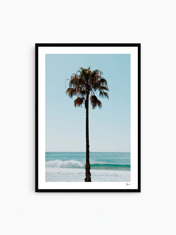 Palm Tree 01 (Whale Beach) - Wall Art Print