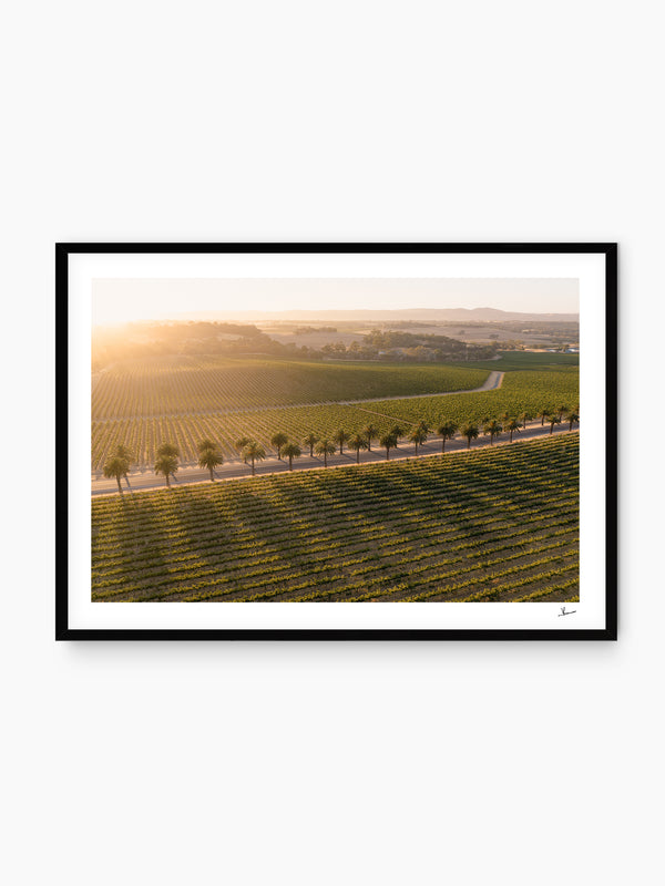 Barossa Valley Sunrise 03 – South Australia Wall Art Print