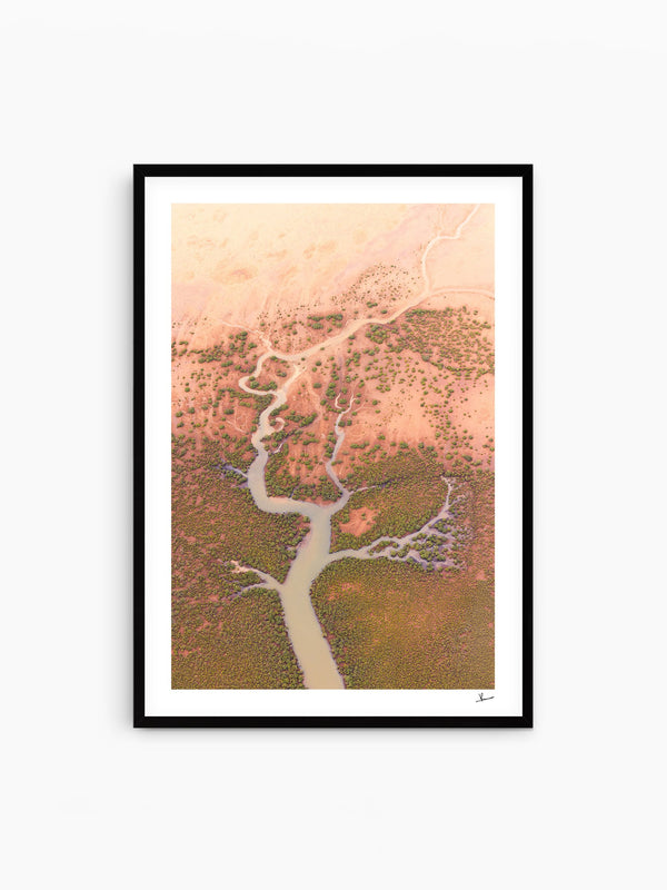 Mangrove Roots — wall art print in Classic Black frame · Australia Unseen