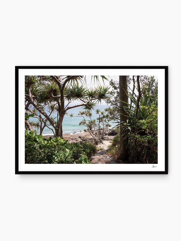 Down Pandanus Lane – Noosa National Park Wall Art Print