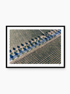 Seppeltsfield Road 03 – Barossa Valley — wall art print by Vincent Rommelaere · Australia Unseen
